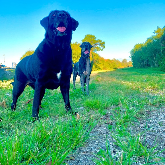 Meet your Posher, Heather Skye - Picture 3 of 6